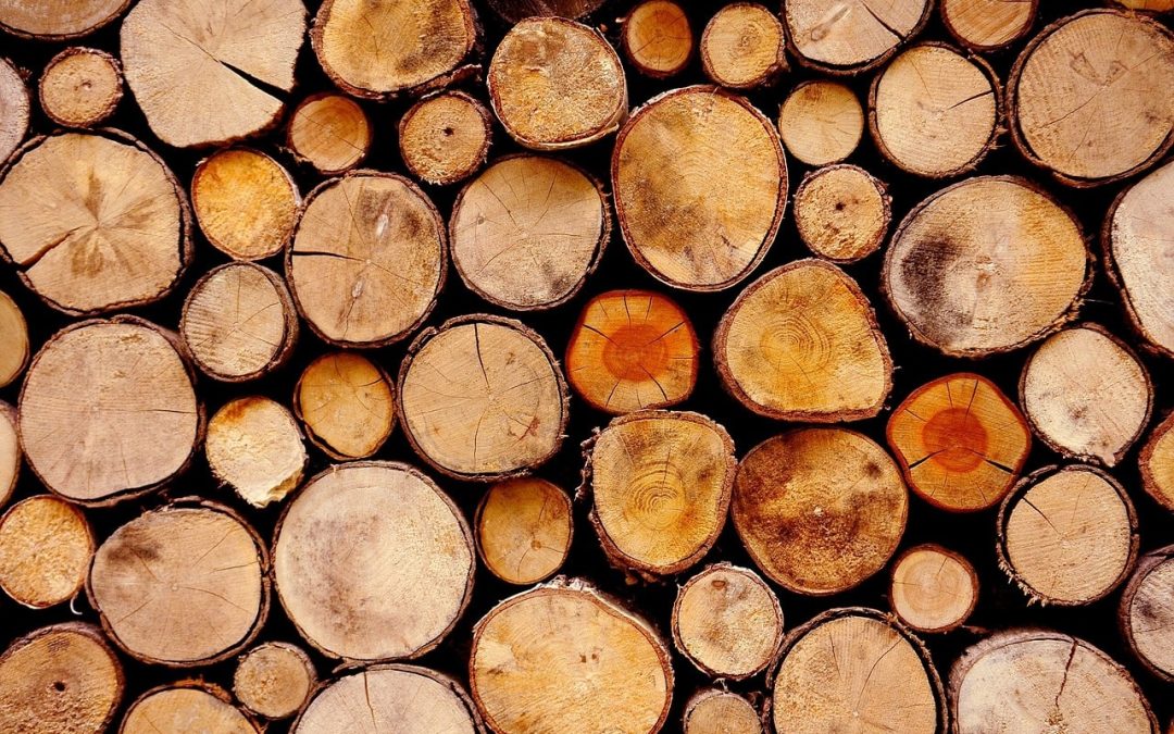 verschillende-soorten-hout-wat-is-wat